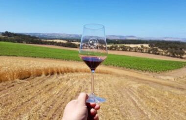 Uncork the Barossa with Small Batch Wine Tours - Lunch Included