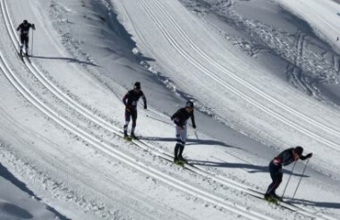 Snow Farm