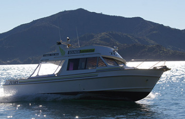 Queen Charlotte Sounds Fishing Charter - 4 Hour Excursion