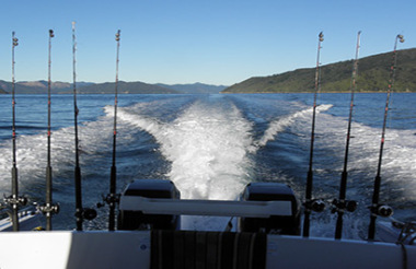 Queen Charlotte Sounds Fishing Charter - 4 Hour Excursion