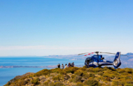 Kaikoura Whales and Cray Tails with South Pacific Helicopters - Lunch Included