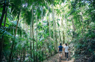 Explore Tamborine Mountain and Wine Tour with The Vino Bus - Lunch Included