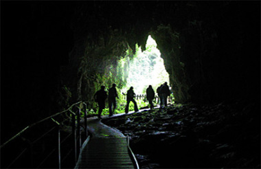 Glowworm and Cave Tour with Spellbound