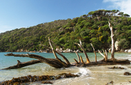 Stewart Island Village and Bays Tour