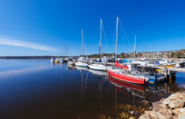 Iconic Australian Wildlife and Nature Tour - Day 14