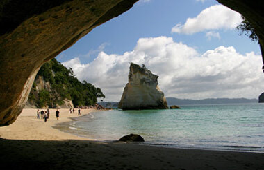 Cathedral Cove Scenic Cruise