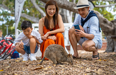 Explore New Zealand with these great holiday ideas