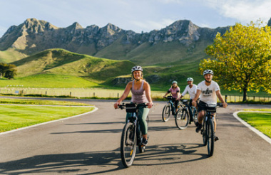 Cape Wineries Guided E-Bike Cycle Tour