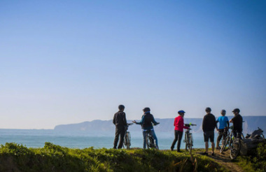 Cape Wineries Guided E-Bike Cycle Tour