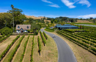 Cape Wineries Guided E-Bike Cycle Tour