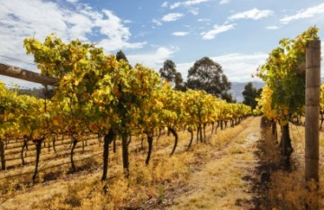 North Tasmania Tasting Trail - Day 2