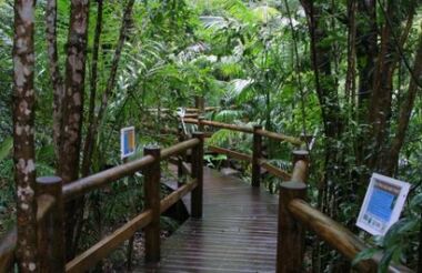 Glow Worm Caves Tamborine Mountain