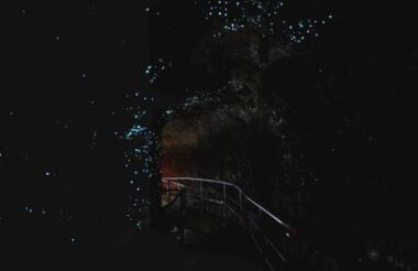 Glow Worm Caves Tamborine Mountain