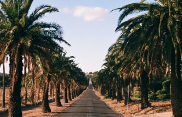 The Barossa Escape - Day 1