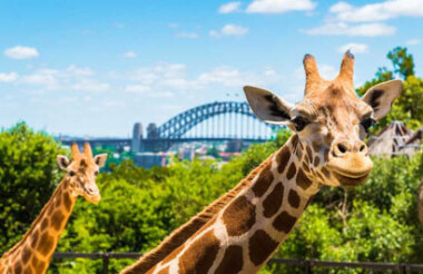 Experience the best of New Zealand with these touring ideas