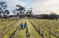 Iconic McLaren Vale & Barossa Valley Wine Journey