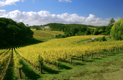 SA Eco Tours: Adelaide to Kati Thanda-Lake Eyre Small Group Eco Safari - Day 7