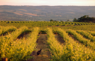 Exploring New Zealand's incredible scenery