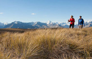 Tekapo Trek with Alpine Recreation