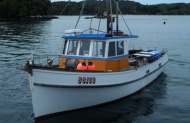 Tequila Fishing Charters Stewart Island