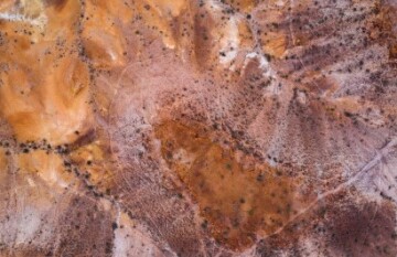 Journey Beyond: Red Centre Spectacular - Day 10