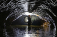 Okohua Glowworm Cave Tour with The Waitomo Experience