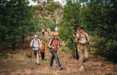 Experience the best of New Zealand with these touring ideas