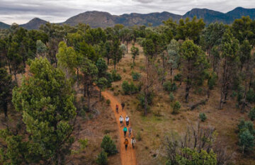 Wild Bush Luxury: The Arkaba Five Day Walk - Day 4