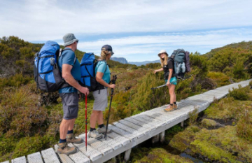 Tasmanian Walking Company: Three Capes Signature Walk - Day 4