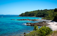 Gulf Harbour to Tiritiri Matangi Island return ferry trip