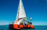 Tongarra Day Sail with Red Cat Adventures - Lunch Included