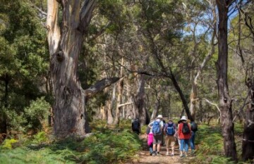 Iconic Australian Wildlife and Nature Tour - Day 12