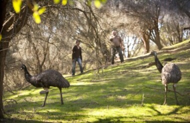 Warrnambool, VIC