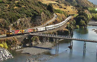 TranzAlpine Scenic Train: Arthurs Pass to Greymouth Scenic Plus with Great Journeys NZ