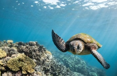 New Zealand holidays & tours