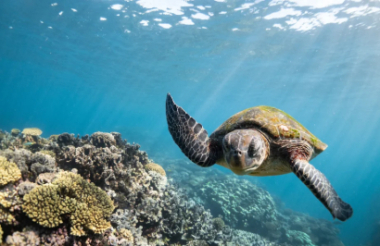 See all of New Zealand with a tailor-made package holiday