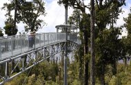 West Coast Treetops Walkway Hokitika