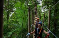 Zipline Tour with Treetops Adventure