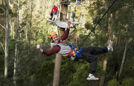 Zipline Canopy Tour with Treetops Adventure Hollybank