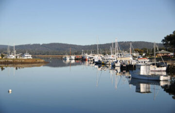 Iconic Australian Wildlife and Nature Tour - Day 11