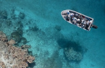 True North: Great Barrier Reef Ultimate Cruise - Day 4