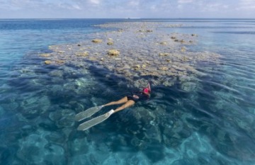 True North: Great Barrier Reef Ultimate Cruise - Day 2