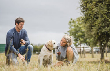 Discover everything New Zealand has to offer with these great vacation packages