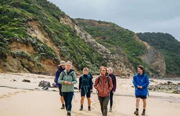Twelve Apostles Signature Walk - Day 4