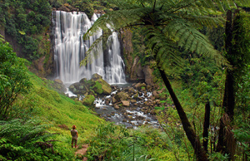 The Essential New Zealand - Day 3