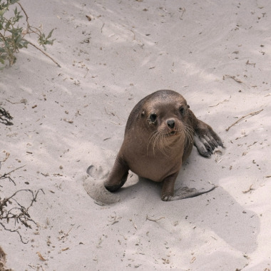 Discover everything New Zealand has to offer with these great vacation packages