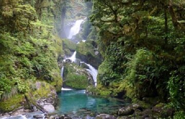 Southern Highlights and Milford Track Guided Walk - Day 7