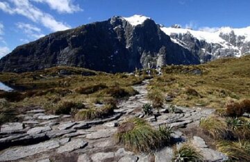 Southern Highlights and Milford Track Guided Walk - Day 8