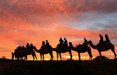 Sunset Camel Experience