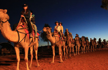 Sunset Camel Experience